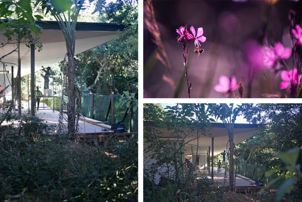 ballito estate updates