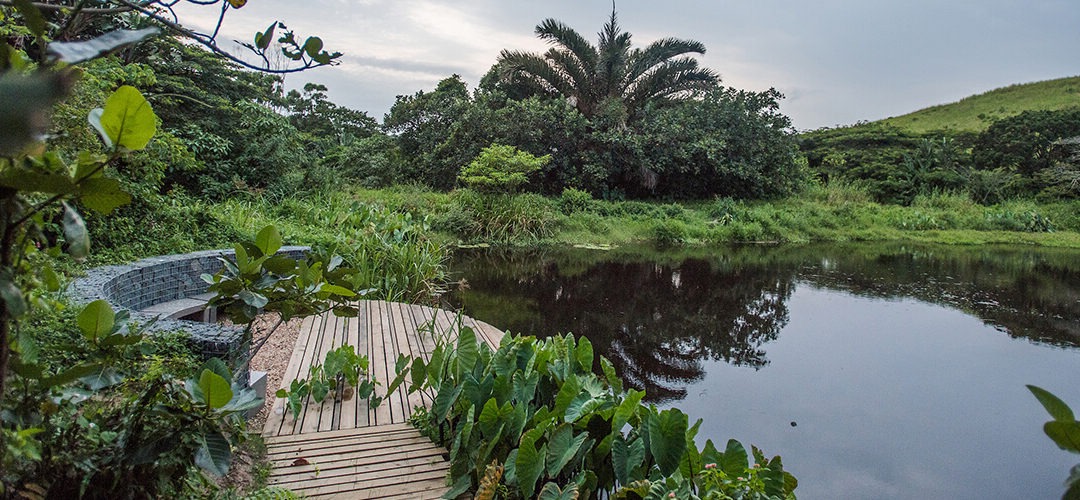 Elaleni Coastal Forest Estate – Site 87 Preview
