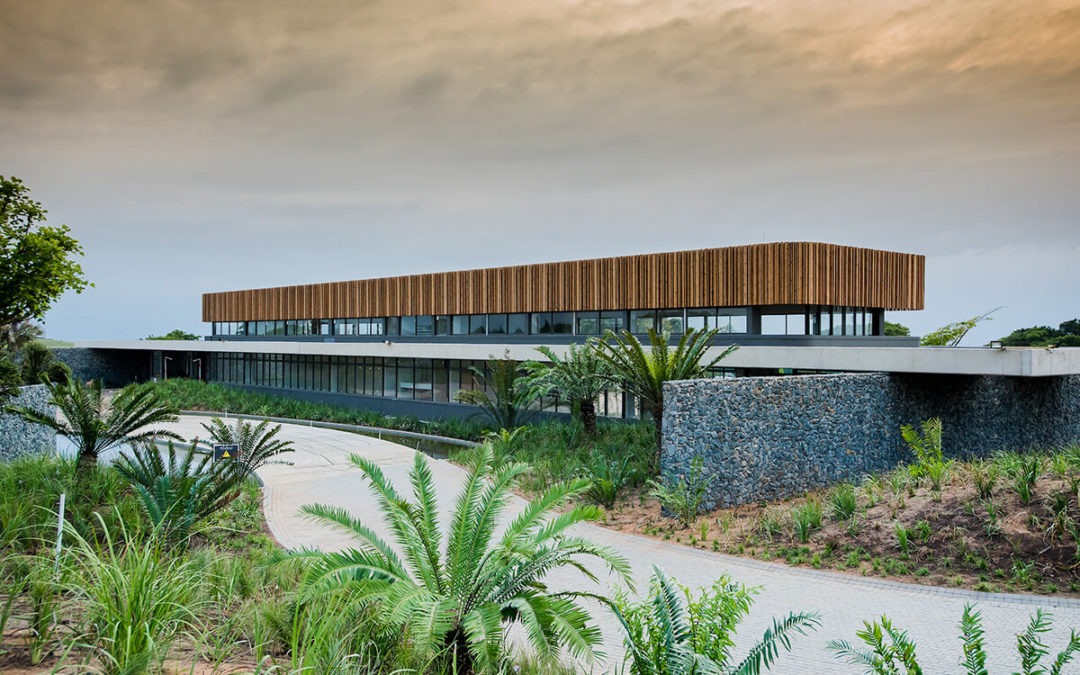 Elaleni Coastal Forest Estate – January Update Video