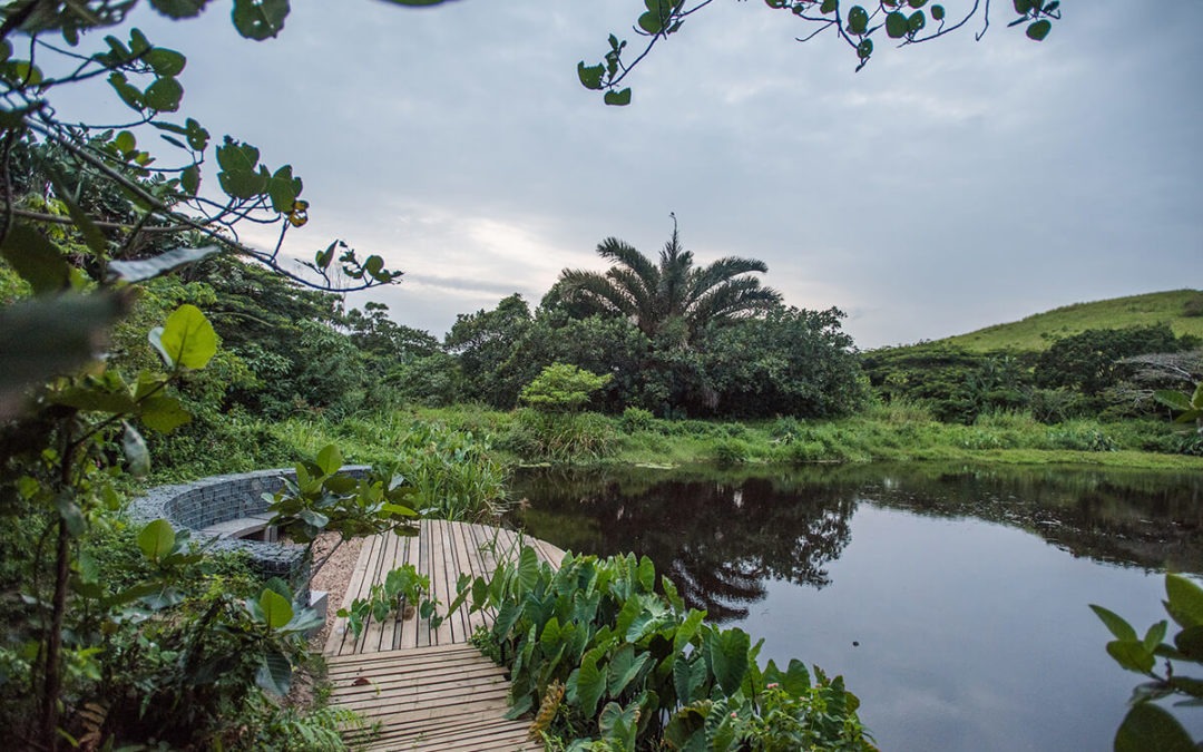 Elaleni Coastal Forest Estate featured in the Ballito Magazine