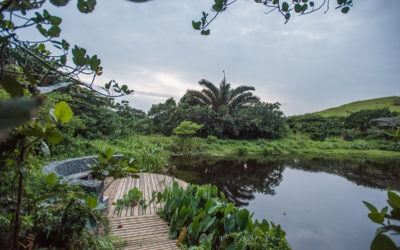 Elaleni Coastal Forest Estate featured in the Ballito Magazine