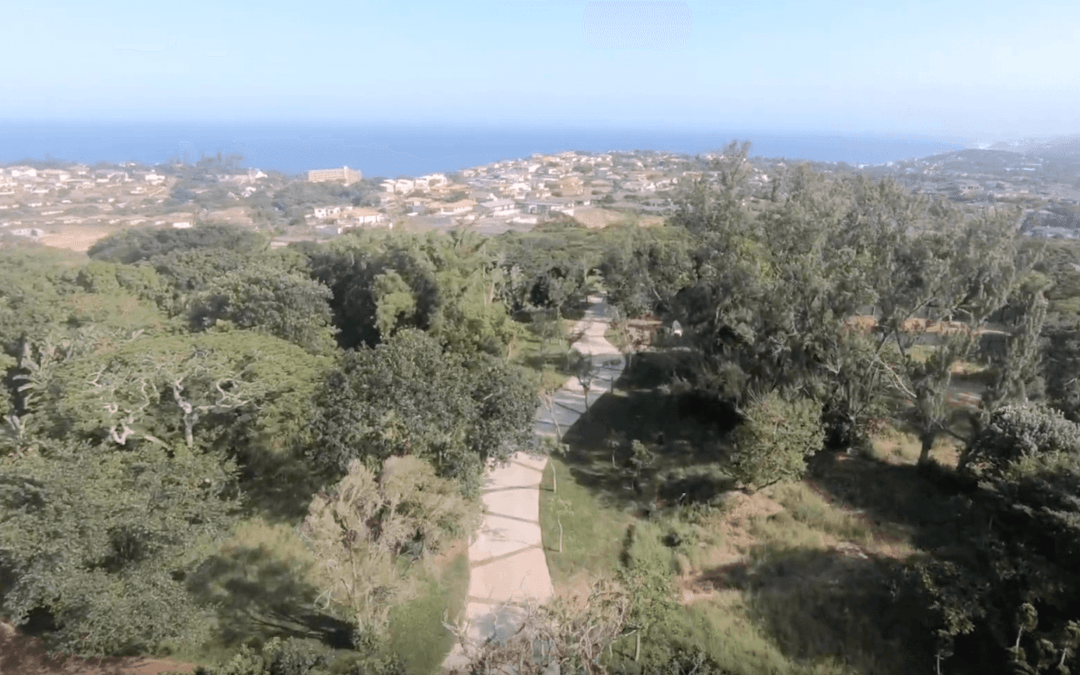Elaleni Coastal Forest Estate – Site 96 Preview