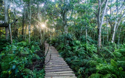 Eco Estates Offer More Than Just Security