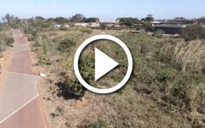 Elaleni Coastal Forest Estate – Site Preview – 28 Bee-Eater Drive