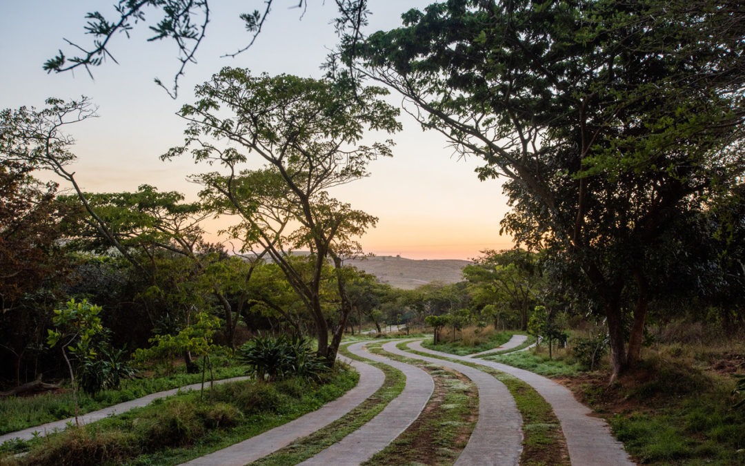 Elaleni Coastal Forest Estate – Radio Interview – October 2019
