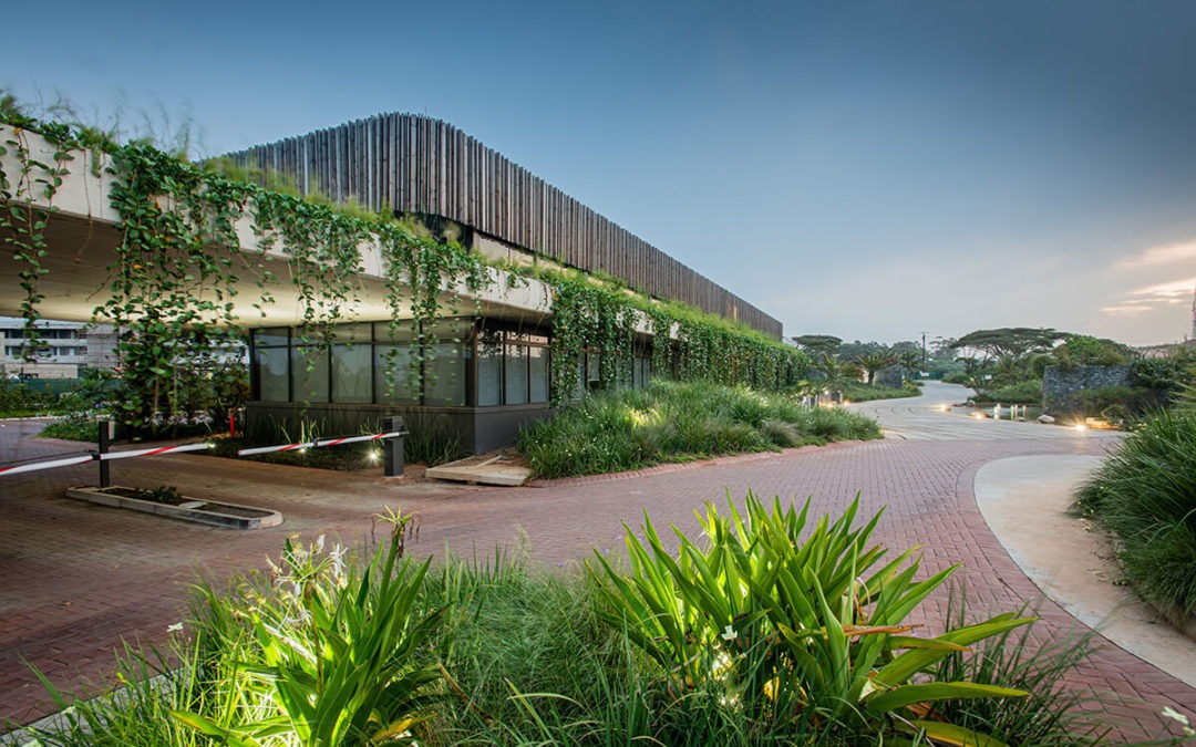 Pro Landscape Africa Cover Feature
